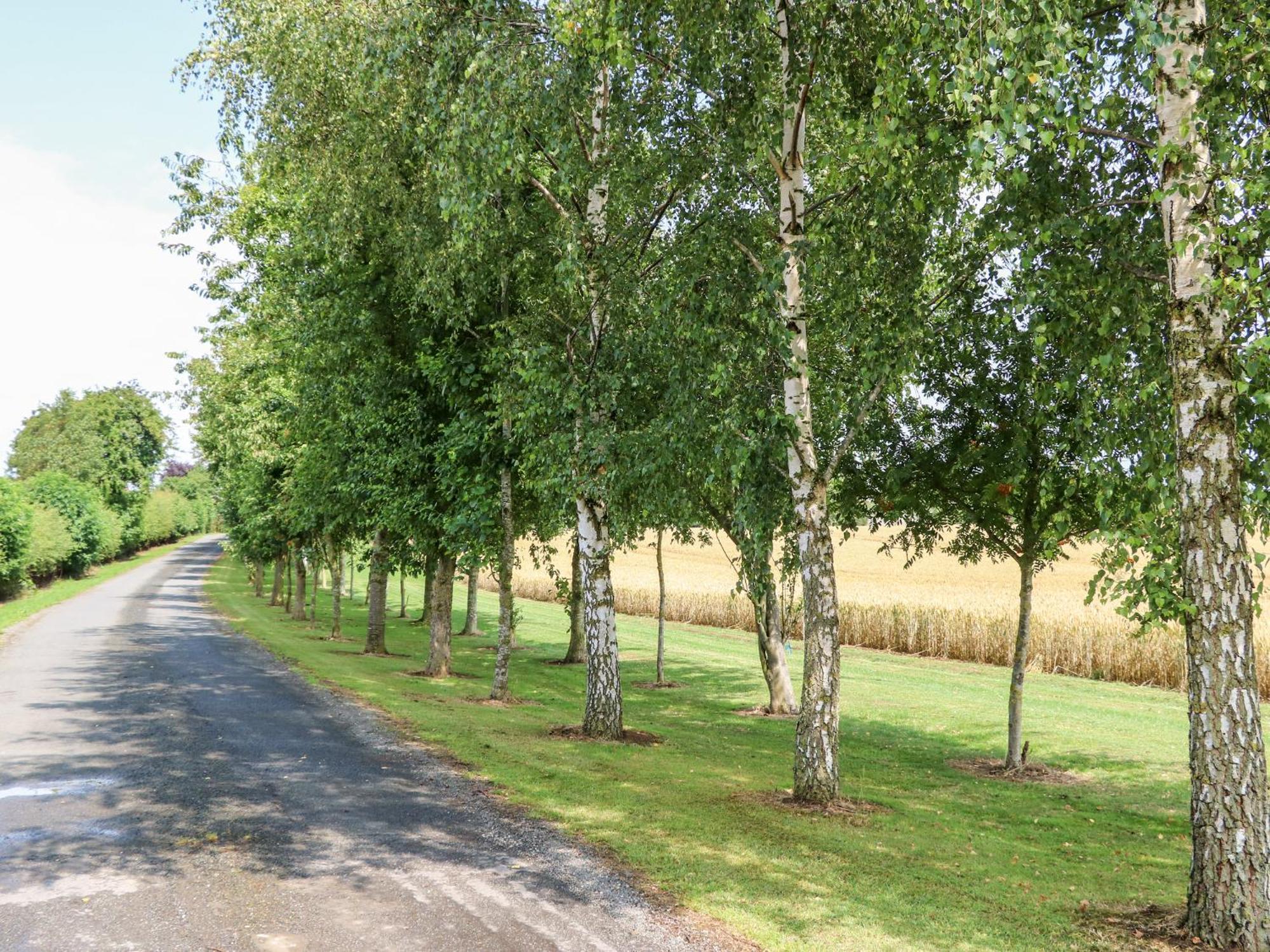 The Barn Villa Northallerton Dış mekan fotoğraf